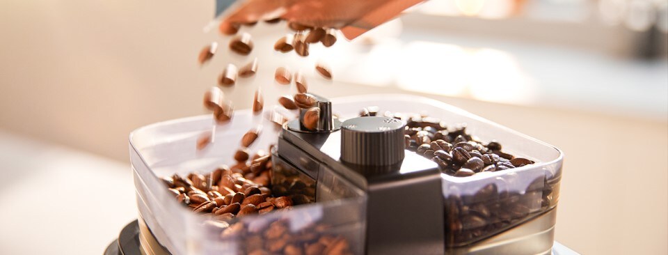 Ziarna kawy w młynku Ziarna kawy w młynku