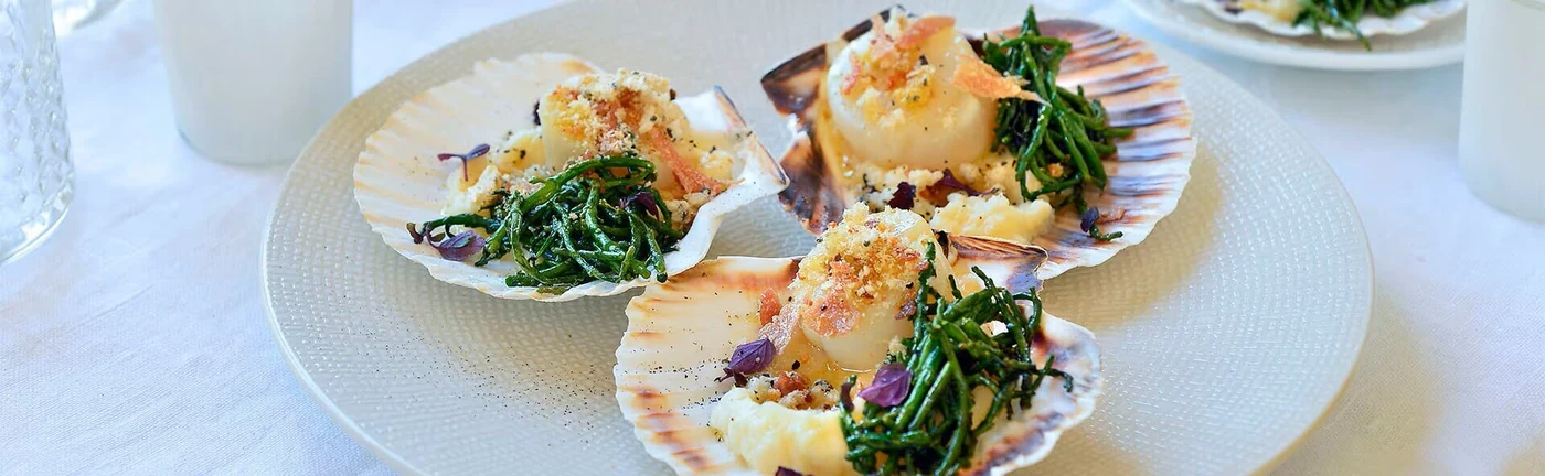 Trois coquilles Saint-Jacques sur une assiette blanche, garnies d'épinards frais. Trois coquilles Saint-Jacques sur une assiette blanche, garnies d'épinards frais.