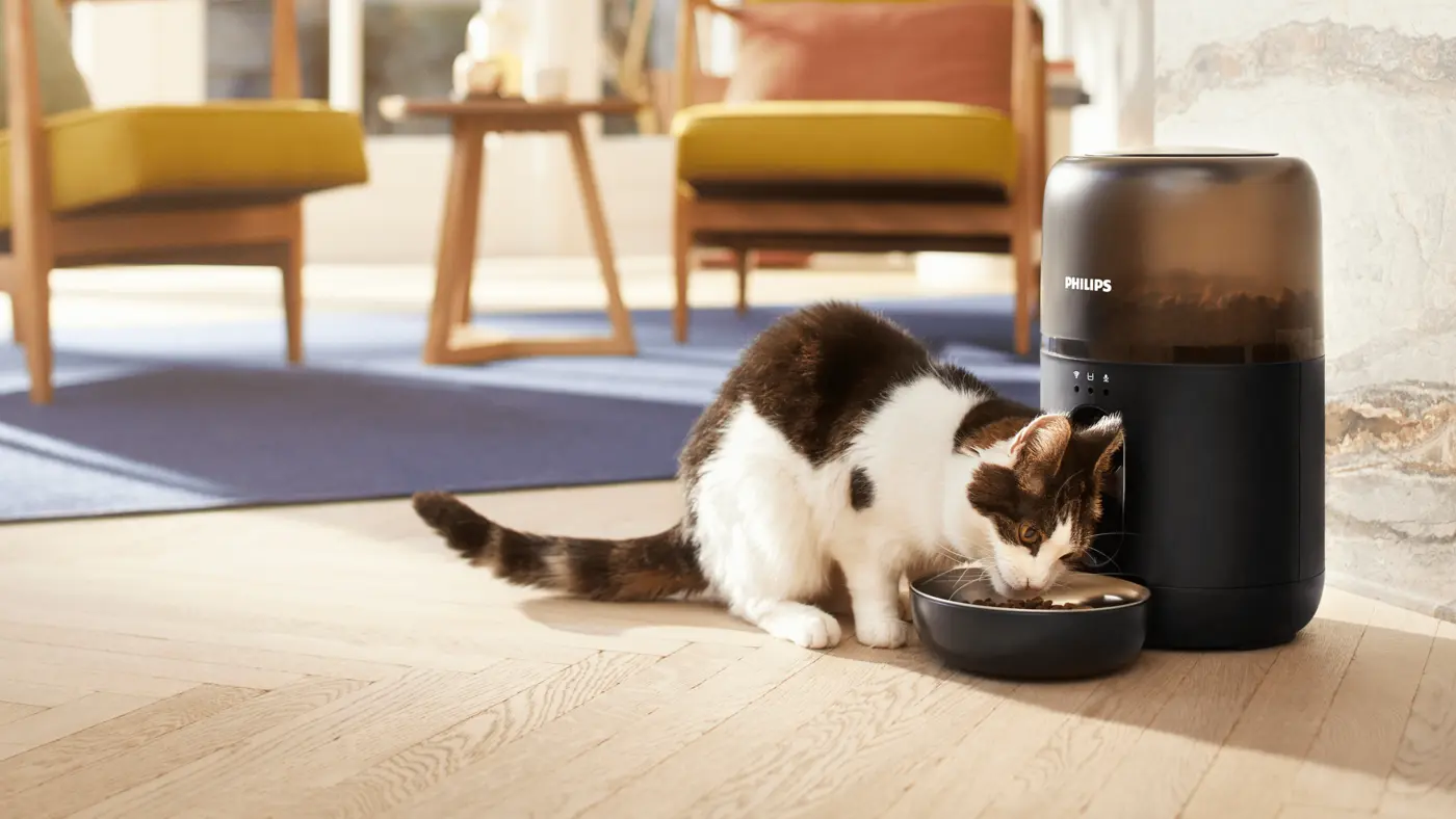 Gatto che si gusta un pasto da un distributore automatico Philips Pet Care. Controllo delle porzioni, connettività app e design elegante per i proprietari di animali domestici moderni. Gatto che si gusta un pasto da un distributore automatico Philips Pet Care. Controllo delle porzioni, connettività app e design elegante per i proprietari di animali domestici moderni.