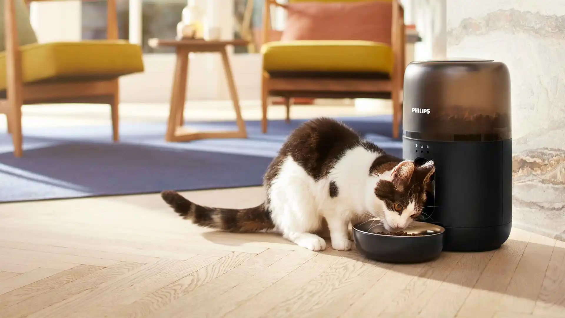 Smart fodermatare med kamera Smart fodermatare med kamera