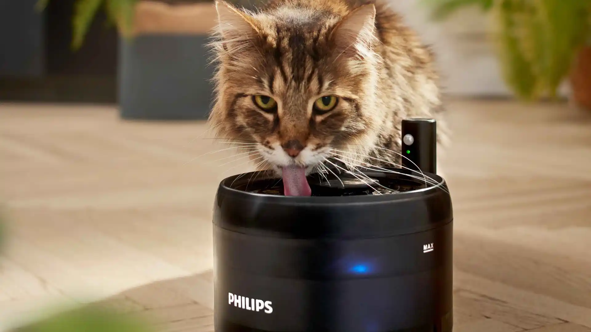 Itatókút Itatókút