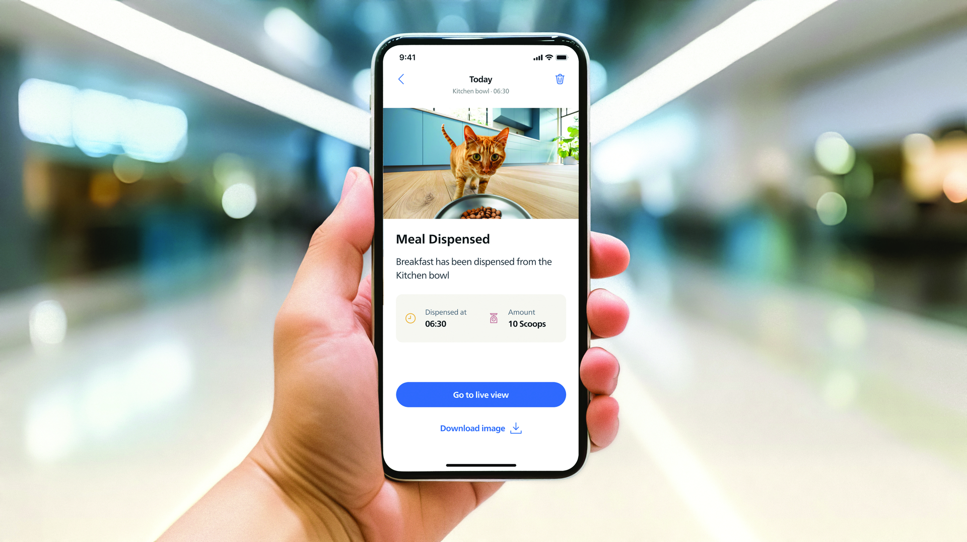 Teléfono móvil mostrando la app del comedero inteligente Philips Pet Care. Notifica el desayuno dispensado, 10 porciones a las 06:30, con una imagen del gato naranja. Incluye vista en directo. Teléfono móvil mostrando la app del comedero inteligente Philips Pet Care. Notifica el desayuno dispensado, 10 porciones a las 06:30, con una imagen del gato naranja. Incluye vista en directo.