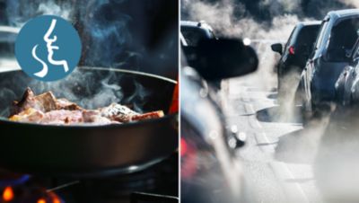 Opfanger lugte og gasser