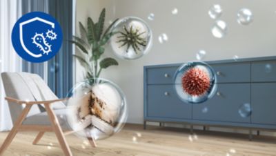 Bekämpft Feuchtigkeit, Schimmel und Gerüche
