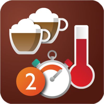 Professional double boiler
