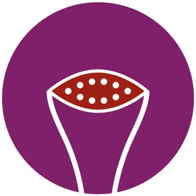 Piastra riscaldata SmartFlow