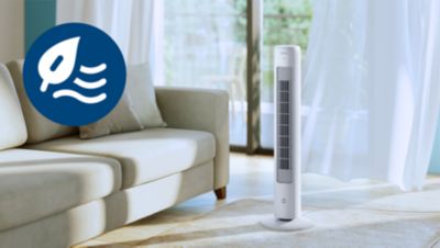 Erfrischender natürlicher Wind
