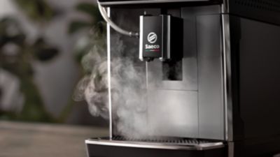 Automatyczne czyszczenie* HygieSteam