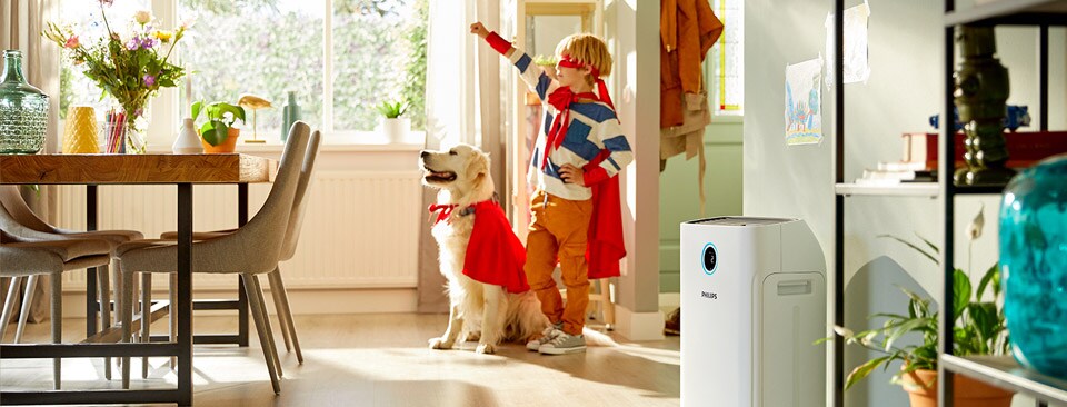 What causes dry air at home What causes dry air at home